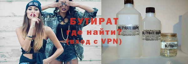 индика Богородицк