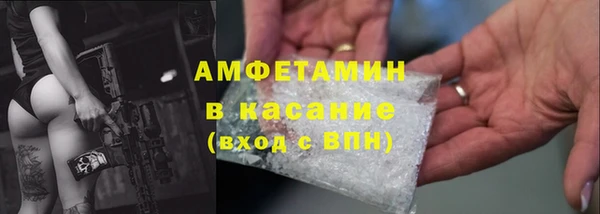 индика Богородицк