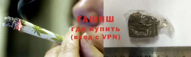 индика Богородицк