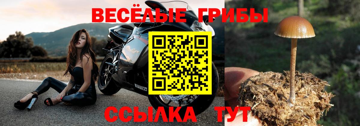 Галлюциногенные грибы GOLDEN TEACHER  Вход с VPN  Радужный 